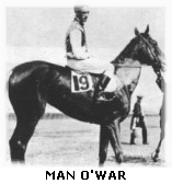man o'war
